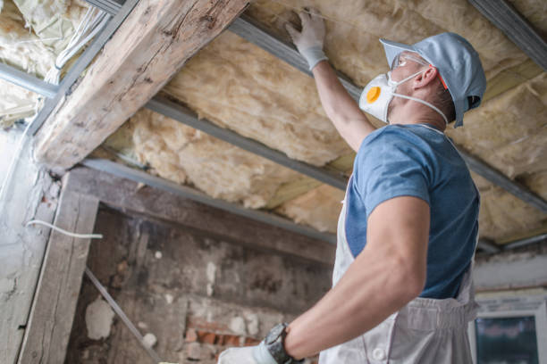 Best Residential Insulation in Middletown, VA